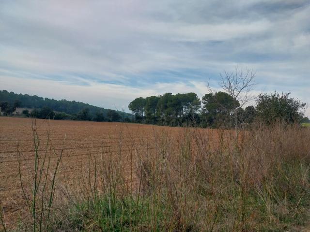 Terreno en venta en Baix Empordà, Catalunya