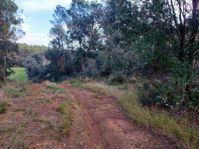 Terreno en venta en Baix Empordà, Catalunya