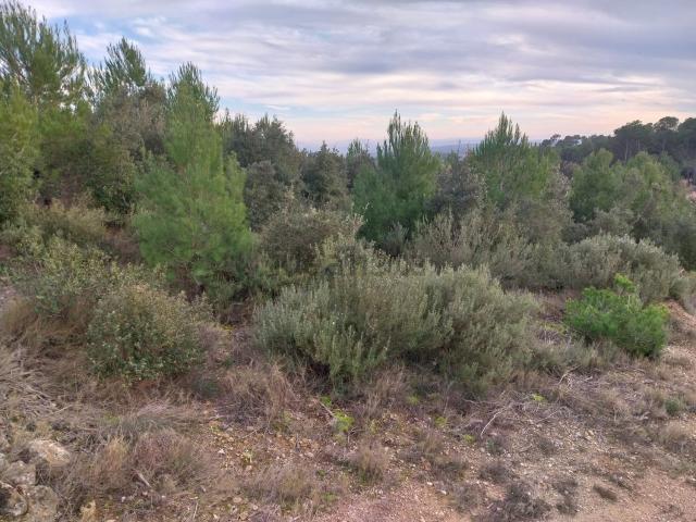 Terreno en venta en Baix Empordà, Catalunya