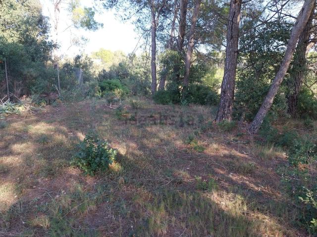 Terreno en venta en Baix Empordà, Catalunya