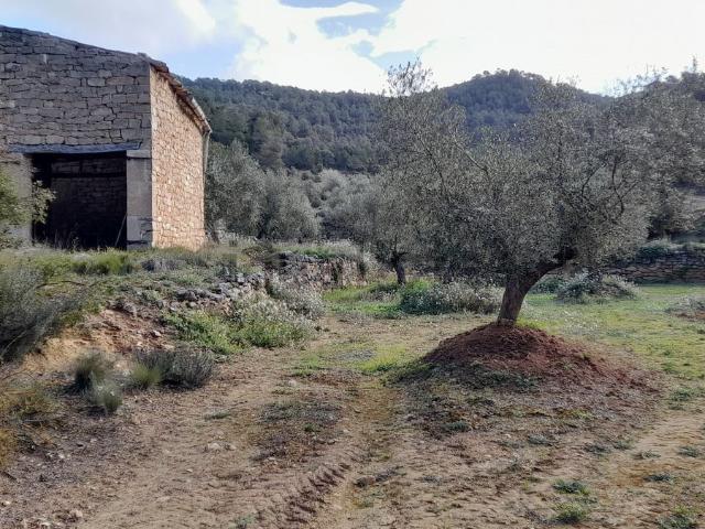Terreno en venta en Garrigues, Catalunya