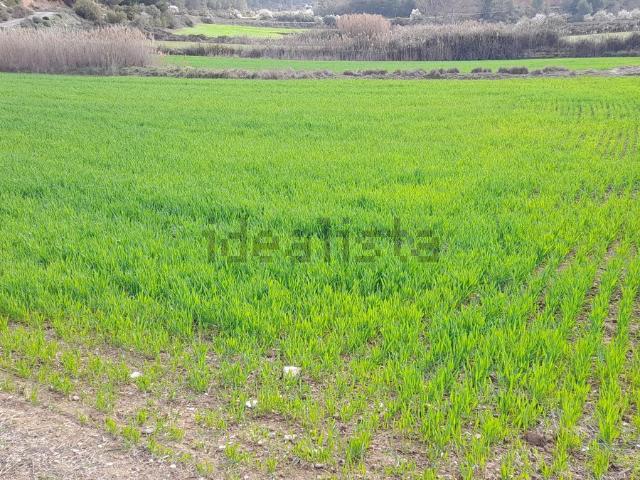 Terreno en venta en Garrigues, Catalunya