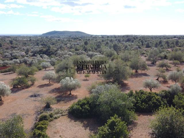 Terreno en venta en el Baix Maestrat, Valencia