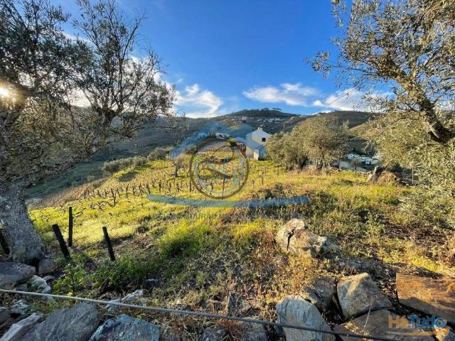 Terreno venda em Santa Marta De Penaguião, Vila Real