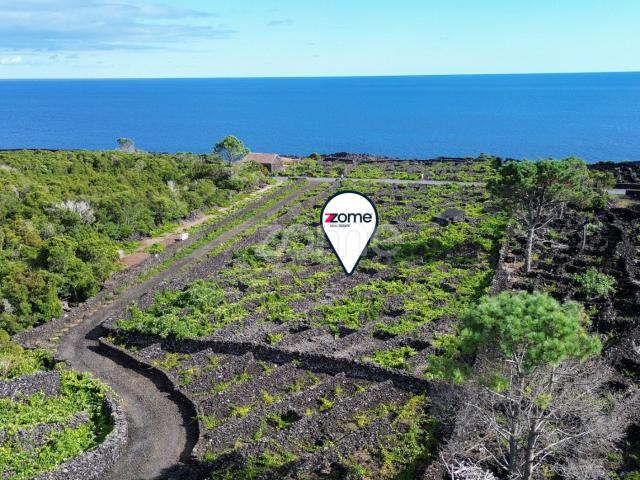 Terreno venda em Açores, Madalena