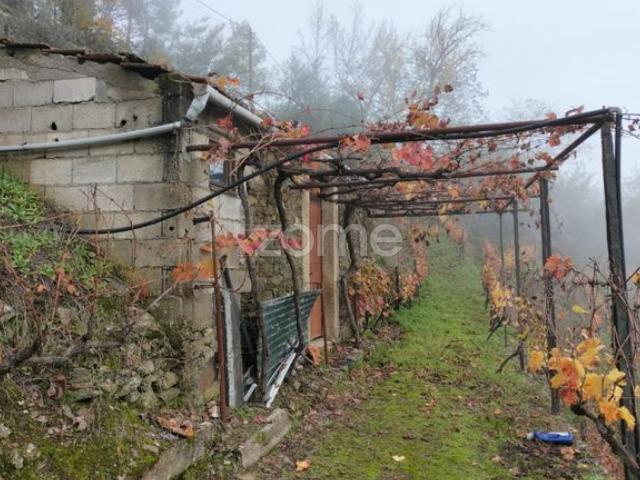 Terreno venda em Santa Marta De Penaguião, Vila Real