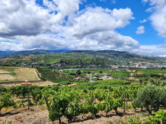 Terreno venda em Lamego, Viseu