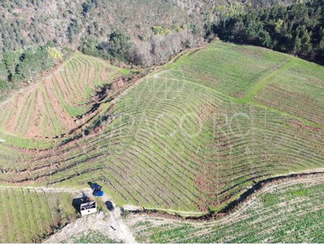 Terreno venda em Mondim De Basto, Vila Real