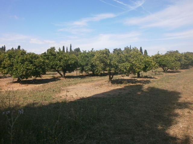 Terreno en venta en Baix Camp, Catalunya