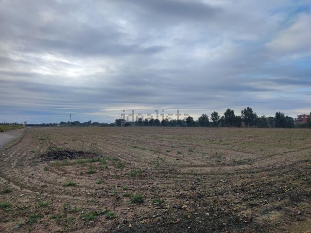 Terreno en alquiler en Baix Camp, Catalunya