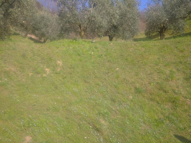Terreno in vendita a Tassano, Sulzano