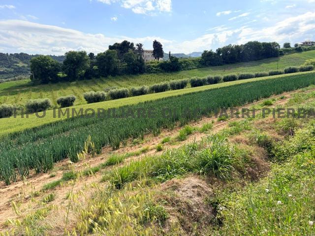 Terreno in vendita a Marche, Ascoli Piceno