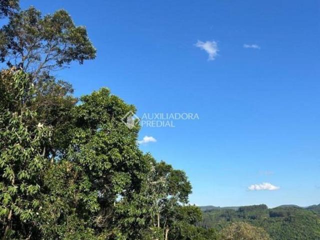 Terreno venda em Região Geográfica Imediata de Caxias do Sul, Nova Petrópolis