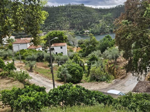 Terreno venda em Dornes, Rego Da Murta