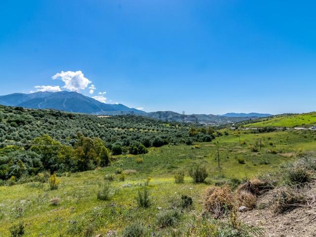 Terreno en venta en Pollo Pelao, La Axarquía