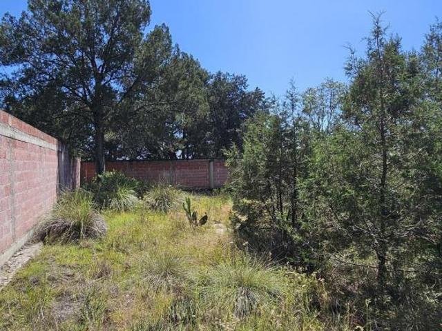 Terreno en venta en Xaltocan