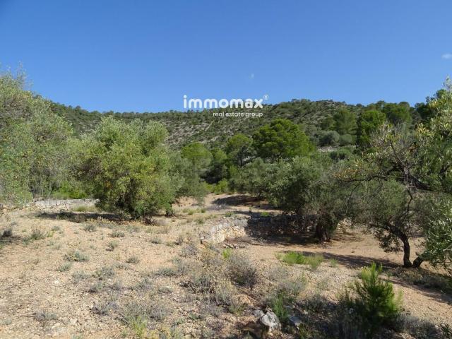 Terreno en venta en Xerta, Tarragona