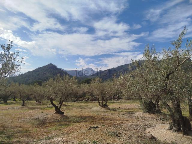 Terreno en venta en Baix Ebre, Catalunya