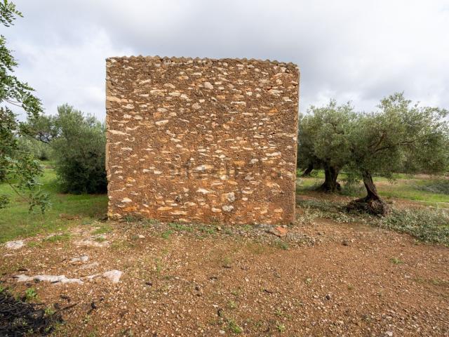 Terreno en venta en Xerta, Tarragona