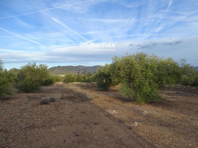 Terreno en venta en Baix Ebre, Catalunya