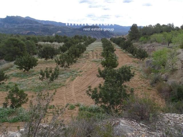Terreno en venta en Baix Ebre, Catalunya