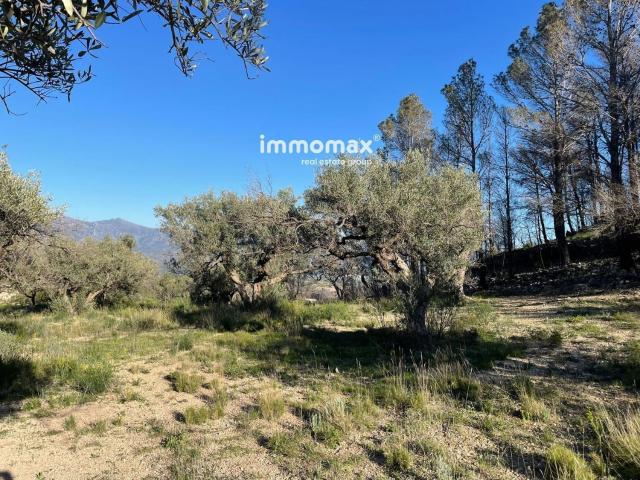 Terreno en venta en Baix Ebre, Catalunya