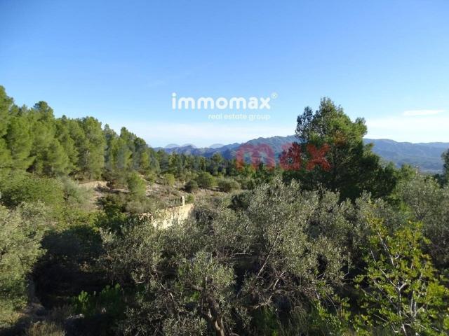 Terreno en venta en Baix Ebre, Catalunya