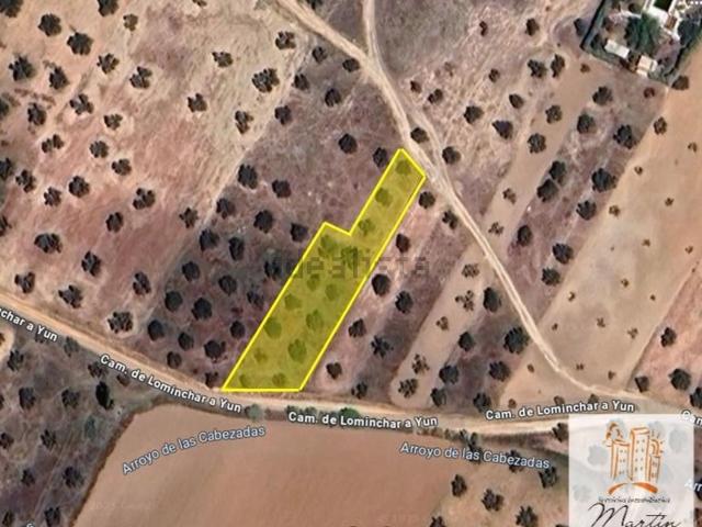 Terreno en venta en Urbanización la Charca, Cedillo Del Condado