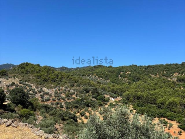 Terreno en venta en Yunquera, Málaga