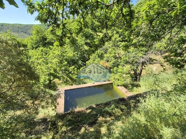 Terreno en venta en Sierra de las Nieves, Andalucía