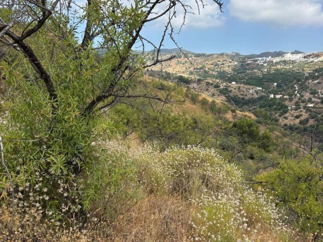 Terreno en venta en Yunquera, Málaga