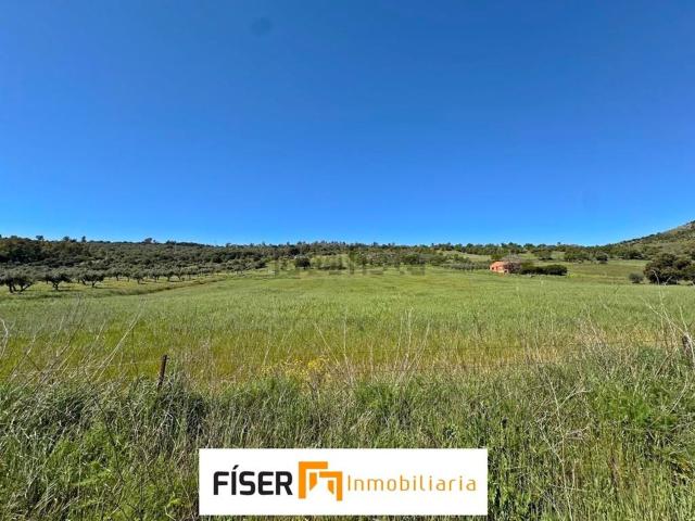 Terreno en venta en Zafra, Badajoz