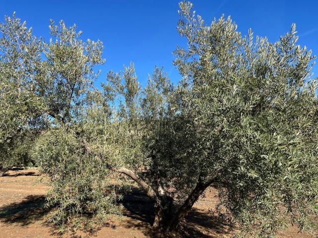 Terreno en venta en Ventorros de San José, Comarca de Loja