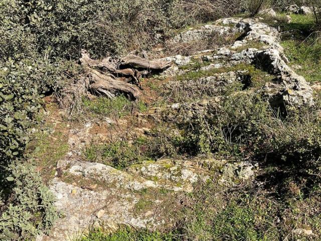 Terreno en venta en Comarca de Loja, Andalucía