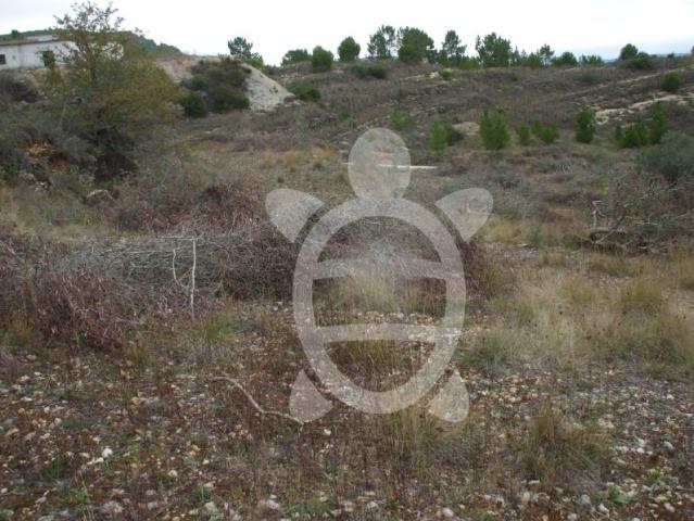 Terreno venda em Condeixa-a-nova, Coimbra
