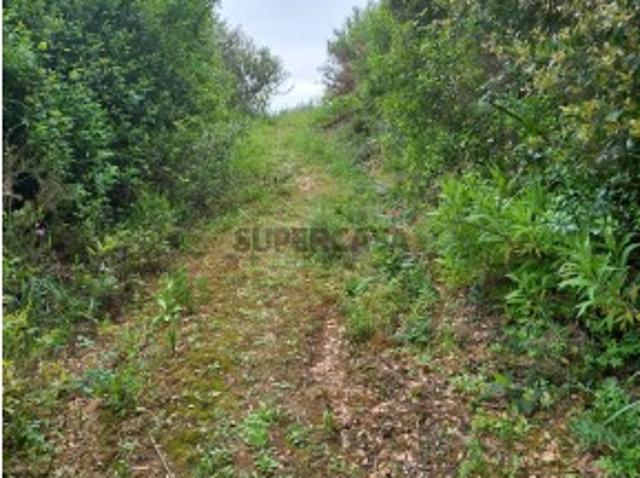 Terreno venda em Ourém, Santarém
