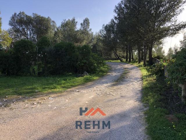Terreno venda em Cascais, Lisboa