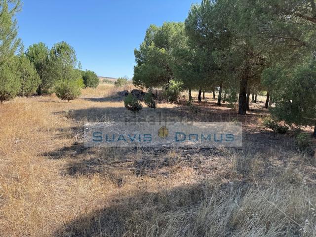 Terreno en venta en Morales Del Vino, Castilla y León