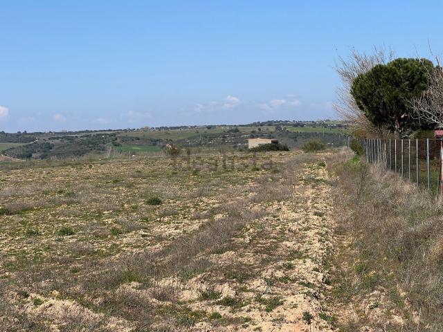 Terreno en venta en Carrascal, Zamora