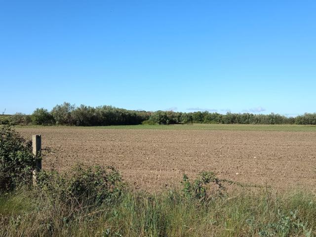 Terreno en venta en Zarza De Granadilla, Extremadura