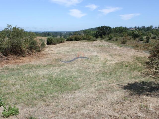 Terreno venda em Leiria