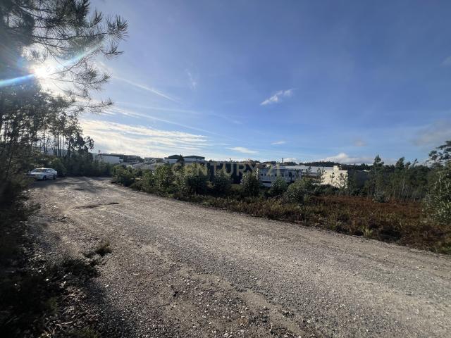 Terreno venda em Vale Sepal, Leiria