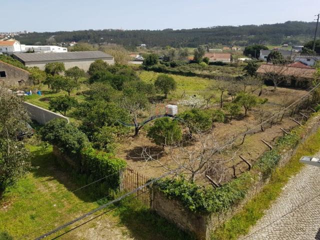 Terreno venda em Parceiros e Azoia, Leiria