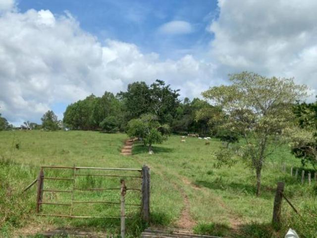 Terreno venda em Região Geográfica Imediata de Oliveira, Piracema