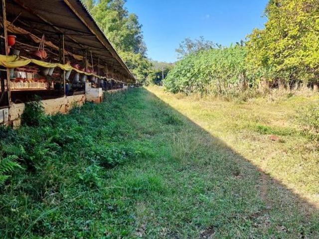 Terreno venda em Região Geográfica Imediata de Cataguases, Astolfo Dutra