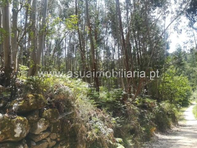 Terreno venda em Amares, Braga