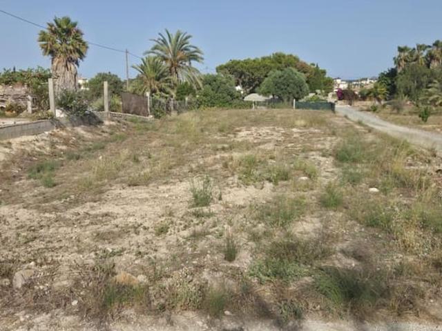 Terreno en alquiler en la Marina, el Baix Vinalopó