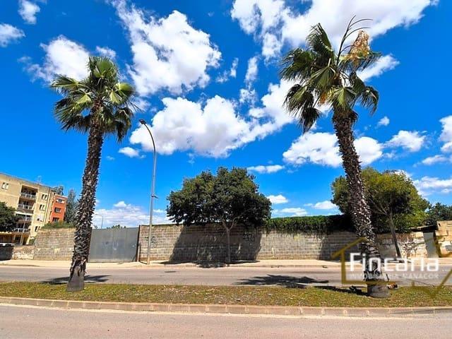 Terreno en alquiler en Manacor