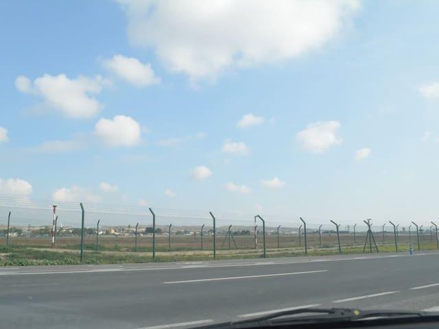 Terreno en alquiler en Elche, Torrellano