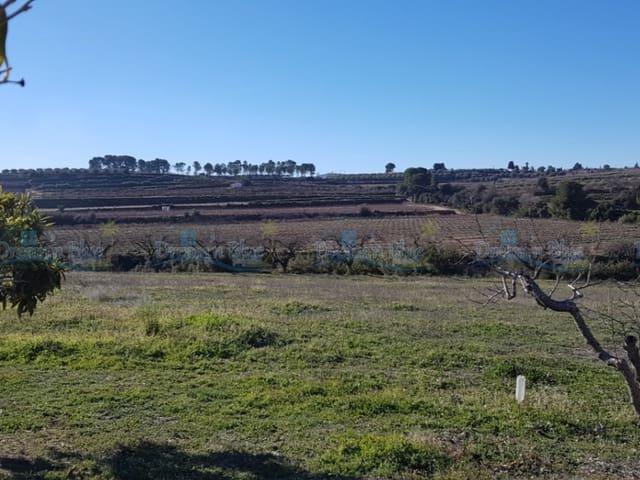 Terreno en venta en la Vall d'Albaida, Valencia